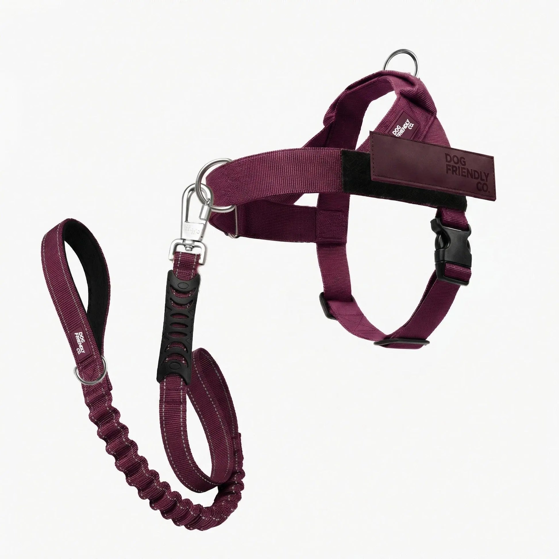 Dog Friendly Co. Harness + No-Pull D-Ring + Bungee Leash