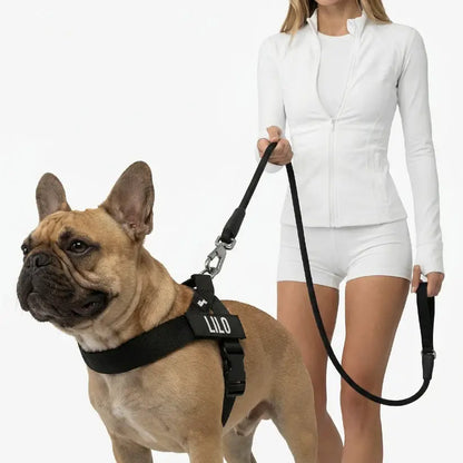 Dog Friendly Co. Harness + No-Pull D-Ring + Bungee Leash