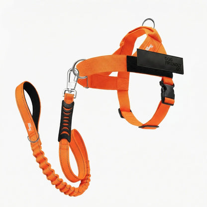 Dog Friendly Co. Harness + No-Pull D-Ring + Bungee Leash