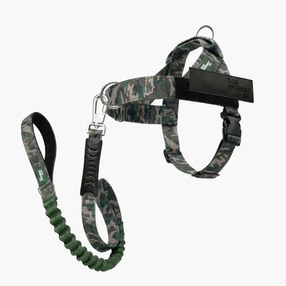 Dog Friendly Co. Harness + No-Pull D-Ring + Bungee Leash