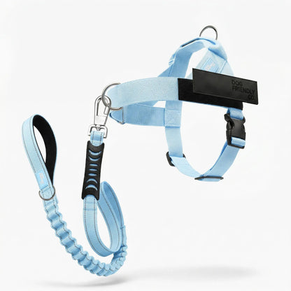 Dog Friendly Co. Harness + No-Pull D-Ring + Bungee Leash